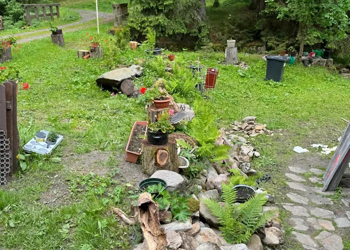 Affittacamere Lesní Zátiší Harrachov